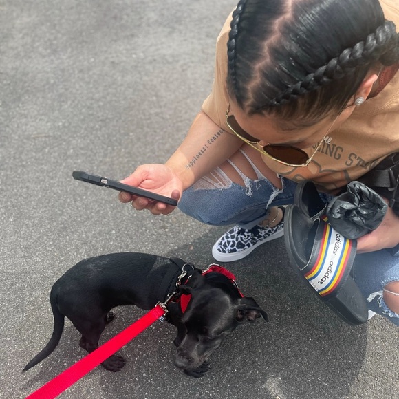 🔥MIMI IS LIVE‼️‼️🔥 LIKE THIS LISTING TO BE NOTIFIED‼️🔥 - Picture 3 of 6